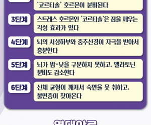 열대야&올림픽 응원이 부른 